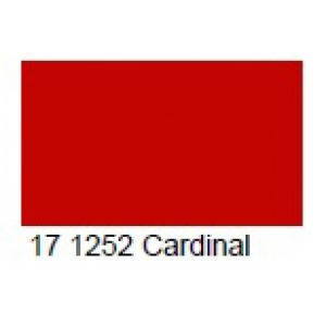 17 1252 cardinal Sunshine
